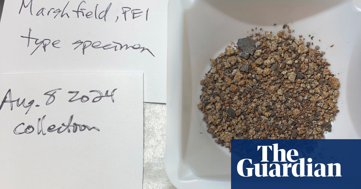 Meteorite strike captured in uncommon video from Canadian residence’s doorbell digital camera | Canada