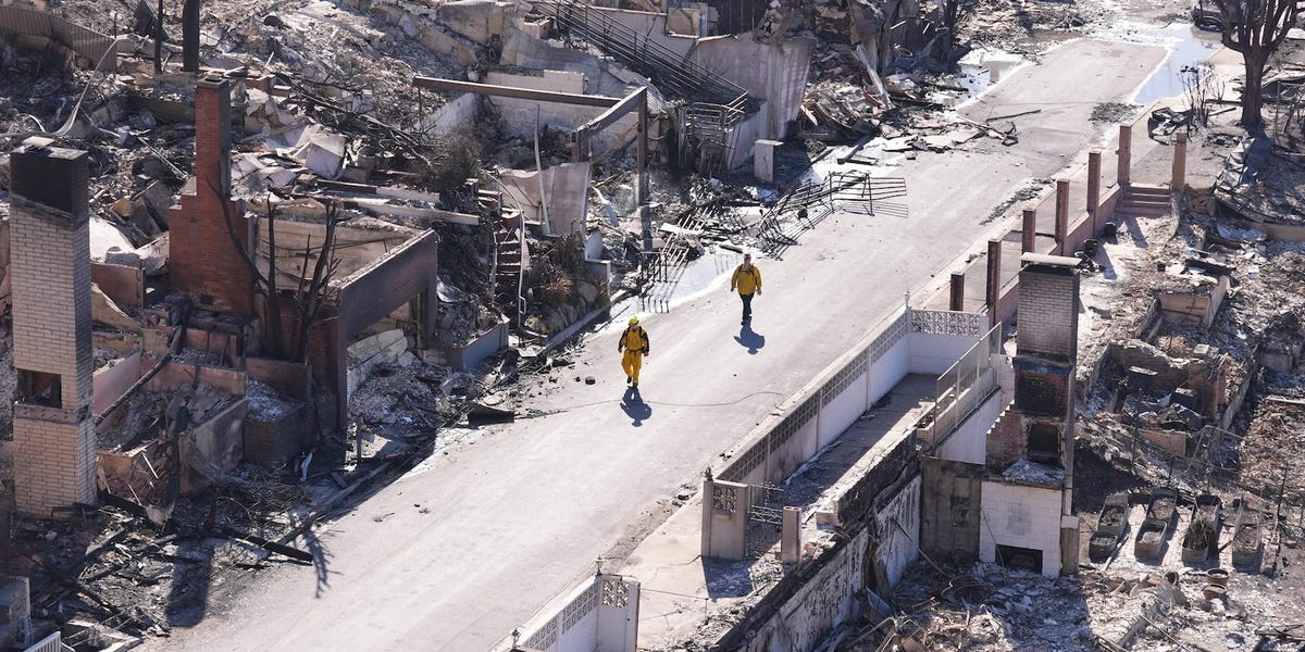 Small Companies Are Struggling within the Wake of Los Angeles Fires Small Companies Are Struggling within the Wake of Los Angeles Fires