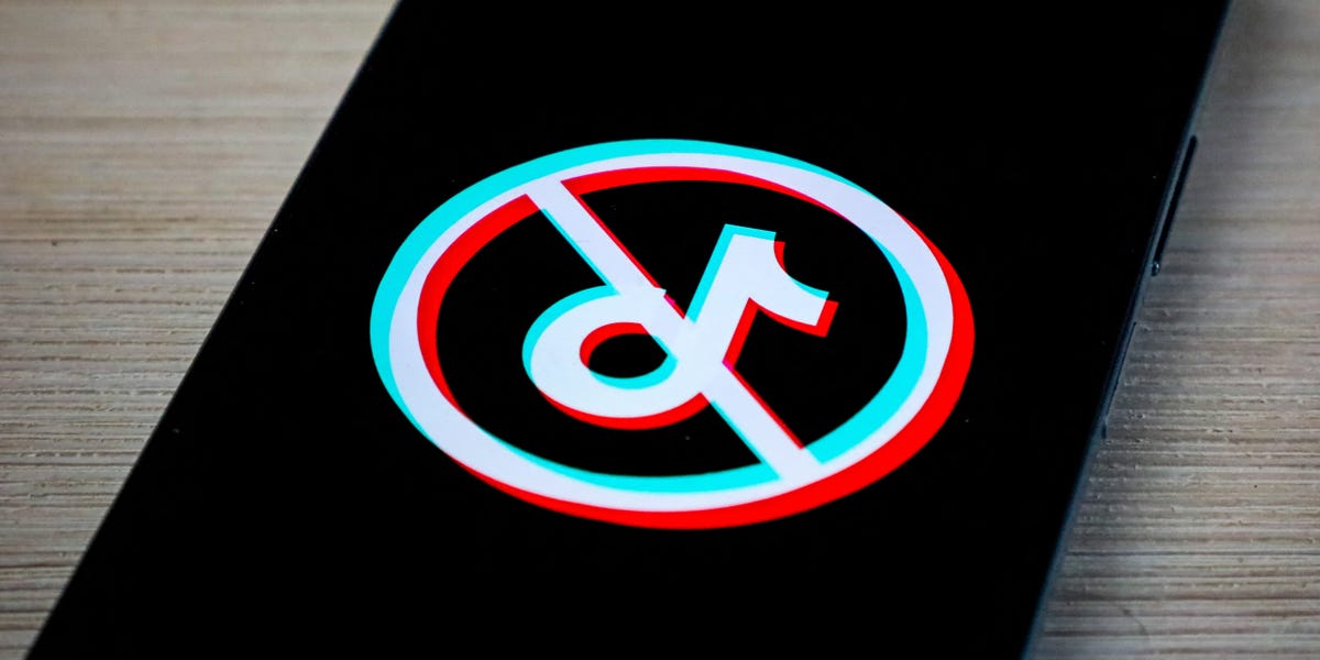 TikTok Goes Darkish for Its 170 Million US Customers — for Now