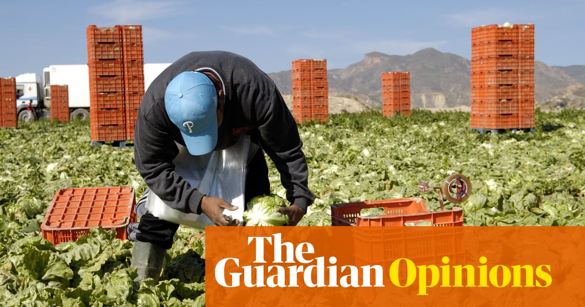 Why is Spain’s financial system booming? Due to migration – which proves xenophobia doesn’t pay | María Ramírez Why is Spain’s financial system booming? Due to migration – which proves xenophobia doesn’t pay | María Ramírez