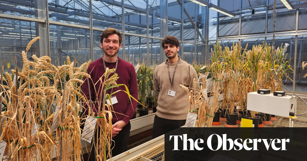 Mine copper with out destroying the planet? London-based mission offers scientists hope | Setting