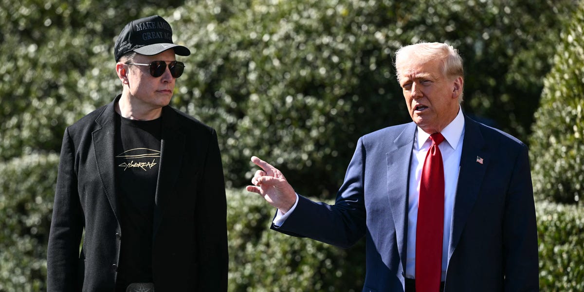 Tesla Backer Desires Musk to Spend Much less Time on DOGE