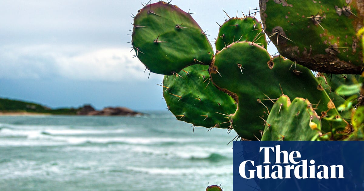 Eden’s Shore by Oisín Fagan evaluation – hilarious, lovely and really violent | Books