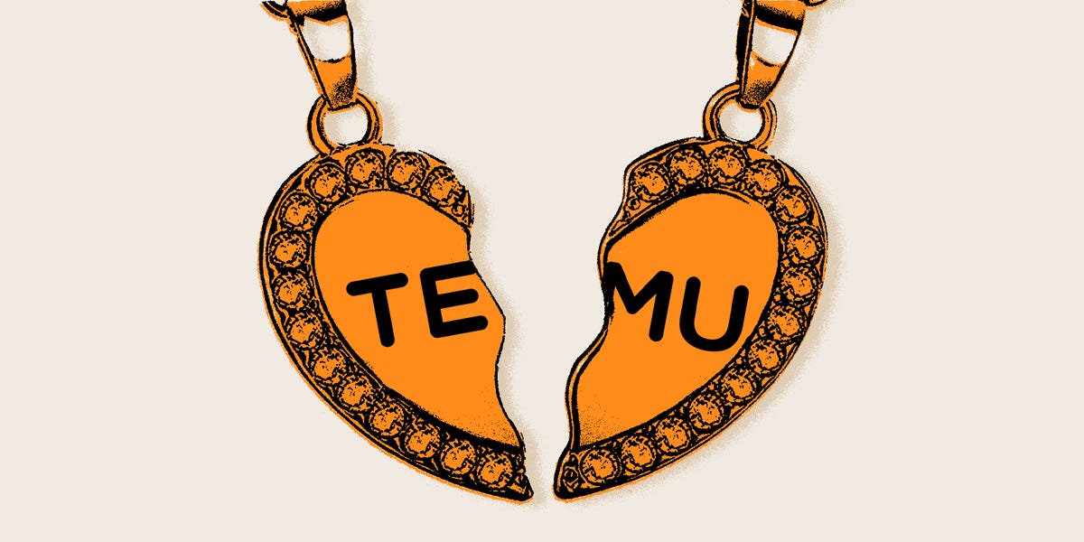My Temu Order Arrived — With No Further Charges. Will You Be so Fortunate?