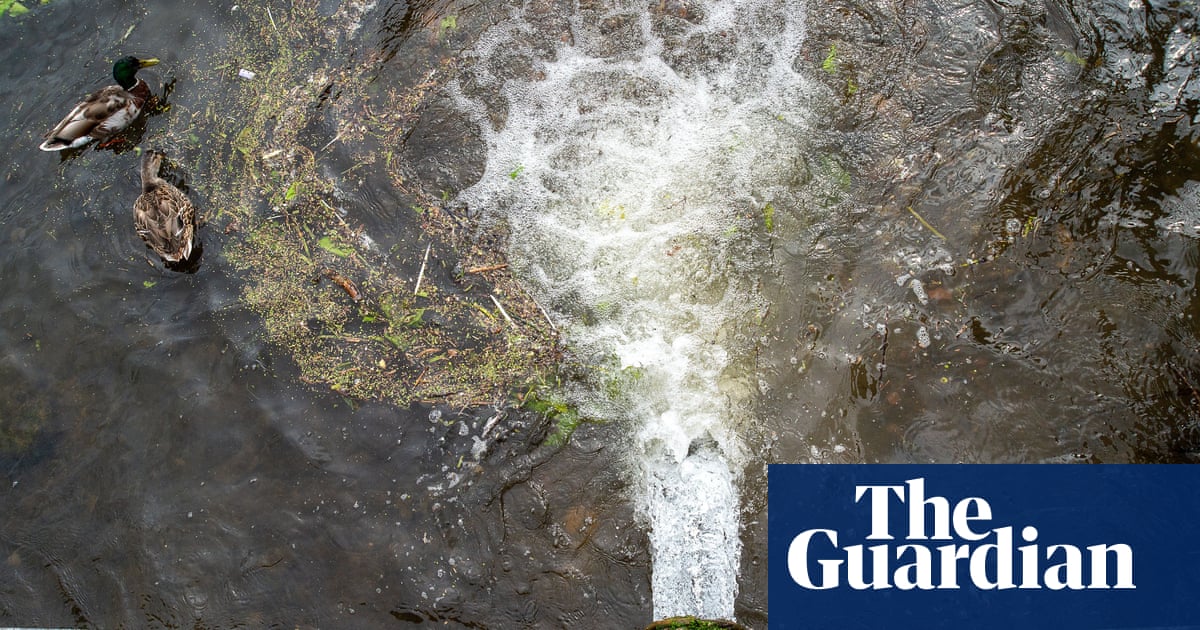 Solely three individuals prosecuted for overlaying up unlawful sewage spills | Surroundings Company Solely three individuals prosecuted for overlaying up unlawful sewage spills | Surroundings Company