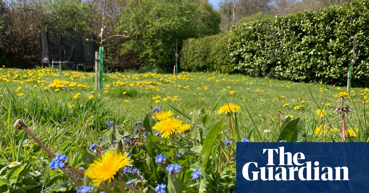 RHS develops ‘sturdy garden’ that works for individuals, pollinators and pets | Bugs