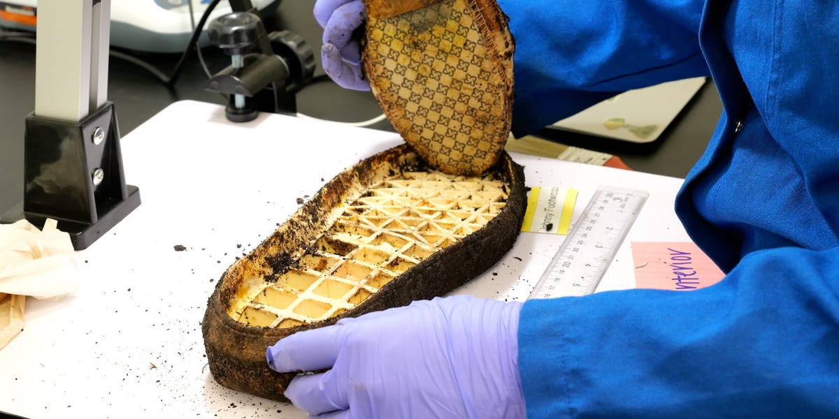 This Startup Says It is Made the First Biodegradable Sneaker