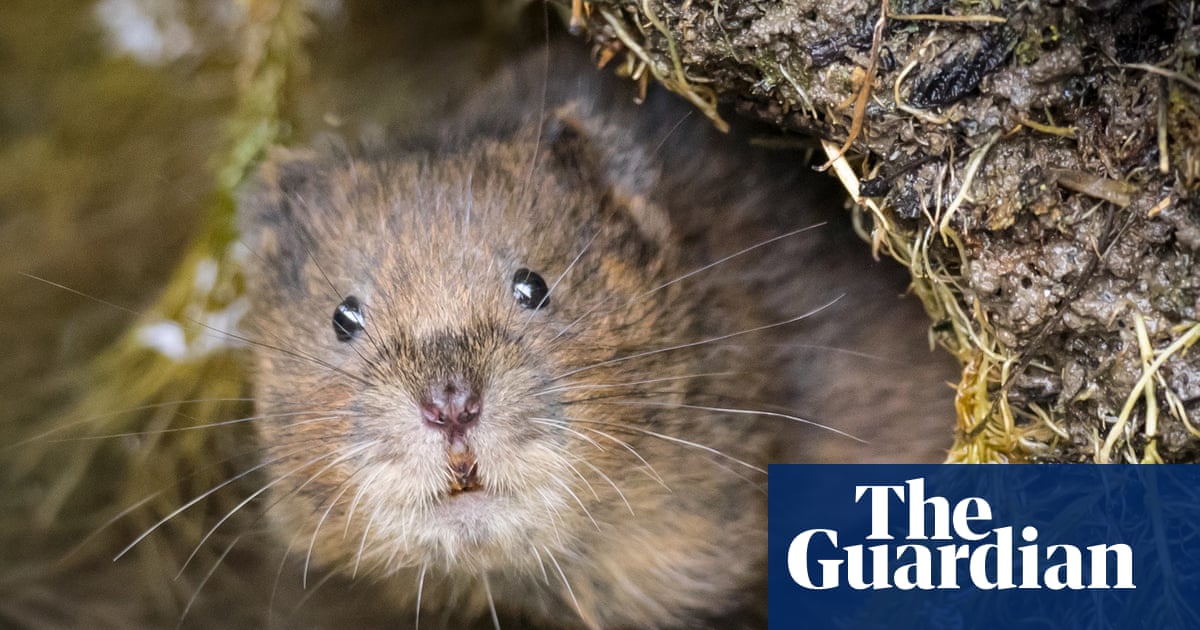 Lower than 1% of UK biosecurity finances goes on tackling invasive species, figures present | Invasive species Lower than 1% of UK biosecurity finances goes on tackling invasive species, figures present | Invasive species