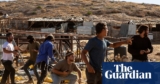 Chased, overwhelmed and robbed: survivors describe Israeli settler violence in West Financial institution | West Financial institution
