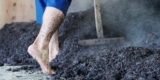 How Japan’s 800-Yr-Previous Indigo Dyeing Course of Is Nonetheless Standing