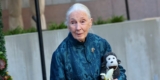 Jane Goodall Says Having ‘Good Legs’ Helped Out Early in Her Profession