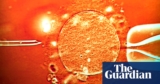 Sperm from cancer-risk donor used to conceive at the least 67 youngsters throughout Europe | Sperm donation